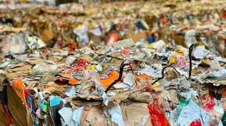 img-eprc-entrega-x-premios-europeos-de-reciclaje-de-papel