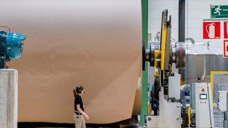 España se sitúa como el quinto mayor productor de papel y cartón de Europa pese a la presión competitiva