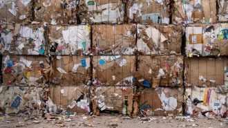 La incertidumbre logística y los nuevos requisitos regulatorios marcan el paso a la industria del reciclaje de papel