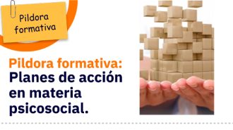 img-noticia-repacar-programa-formativo-verano-01
