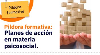 img-noticia-repacar-programa-formativo-verano-01