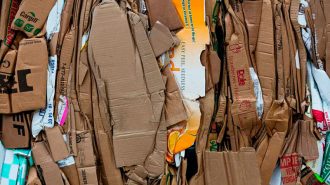 El sistema de reciclaje de papel y cartón en España se consolida como uno de los más eficientes de Europa